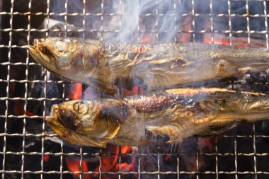 Izgarada balık pişirmek, manzarayı kapatın.