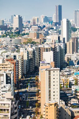 Tokyo şehir manzarası yukarıdan görünüyor. Japonya