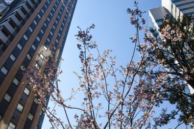 Gökyüzü üzerindeki modern mimari 