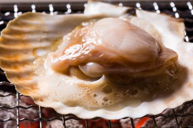 Yakın plan - ızgarada taze taze istiridye