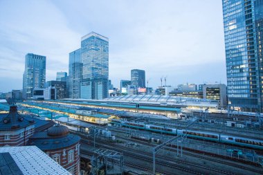 Tokyo İstasyonu, Japonya 'nın en büyük tren istasyonu ve en işlek istasyonu olan 1914 yılında açıldı.