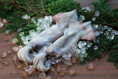 Taze çiğ mürekkep balıkları, şifalı otlar ve bambu tabağında buz.