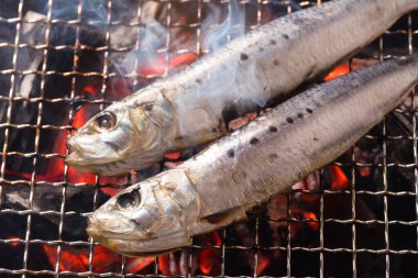 Izgarada balık pişirmek, manzarayı kapatın.