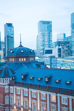 Tokyo İstasyonu, Japonya 'nın en büyük tren istasyonu ve en işlek istasyonu olan 1914 yılında açıldı.