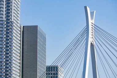 Tsukudukushima, Chuo-ku, Tokyo, Japonya. Yazın Tsukuda Adası manzarası. Sumida Nehri ve Köprüsü.