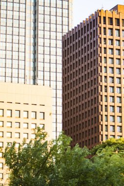 Modern gökdelen binaları ve yeşil ağaçlar