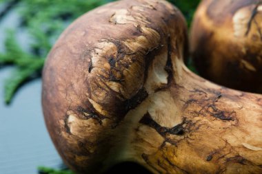 Masada birkaç mantar var.