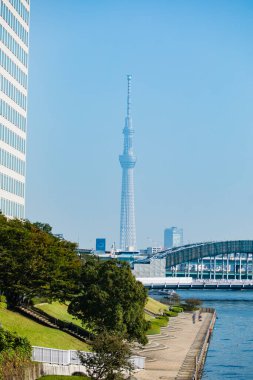 Sumida Nehri üzerindeki köprü. Tokyo Japonya