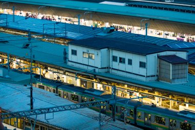 Tokyo 'daki tren istasyonu. Japonya