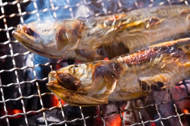 Izgarada balık pişirmek, manzarayı kapatın.
