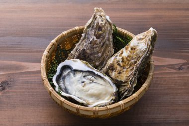 Çiğ taze istiridye manzarasını kapatın. 