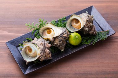 Sazae, Japon boynuzlu türban kabukları. Görüntüyü kapat