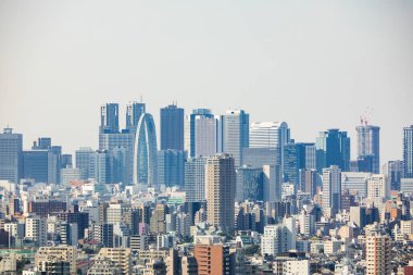 Tokyo şehir manzarası yukarıdan görünüyor. Japonya