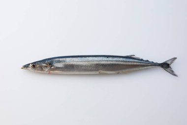 Pişmeye hazır taze çiğ balık.