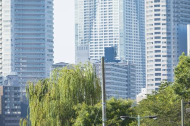 Şehirdeki modern binalar