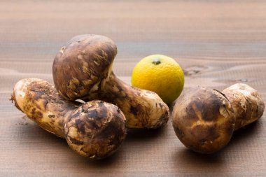 Çiğ Matsutake mantarlarının görüntüsünü kapat