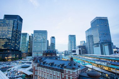 Tokyo İstasyonu, Japonya 'nın en büyük tren istasyonu ve en işlek istasyonu olan 1914 yılında açıldı.