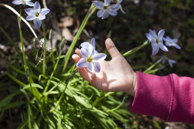 Çocuklar ellerinde güzel bir çiçek tutuyor.