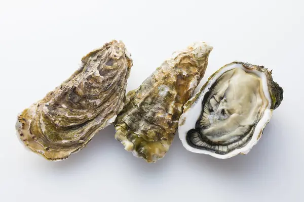 新鲜牡蛎孤立的白色背景 — 图库照片