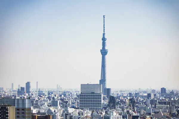 Tokyo şehir manzarası yukarıdan görünüyor. Japonya