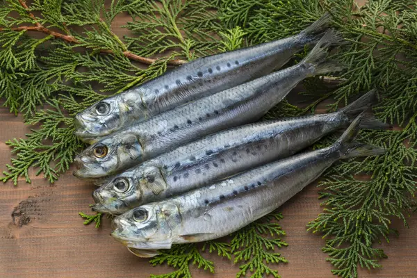 Fresh Raw Fish Prepared Cooking — Stock Photo, Image