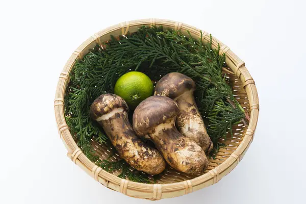 Close View Raw Matsutake Mushrooms — Stock Photo, Image
