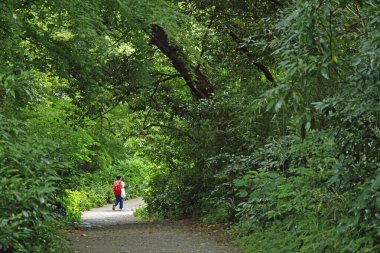 Güzel yeşil parkta yürüyen birinin arka görüntüsü