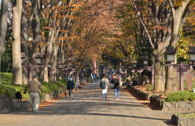 Kyoto, Japonya 'daki parkta yürüyen insanlar. sonbahar sezonu