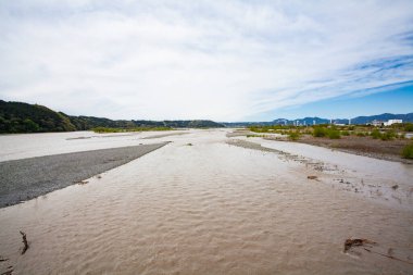 Büyük nehrin yaz manzarası