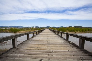 Büyük nehrin üzerindeki güzel yaz manzarası