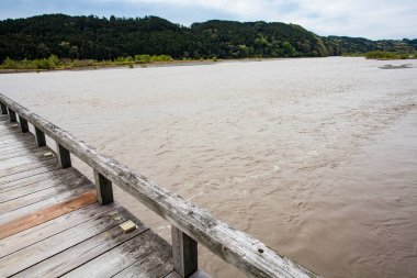 Büyük nehrin üzerindeki güzel yaz manzarası