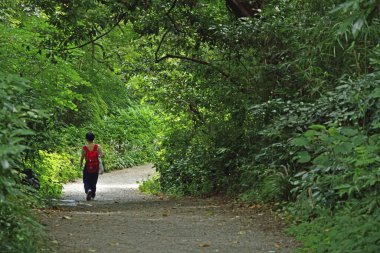 Ormandaki yolda sırt çantalı bir adam.