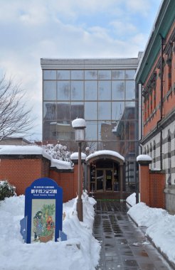 hokkaido, japan - 16 Ocak, 2019: Hokkaido japan hokkaido kışında kar ve kar