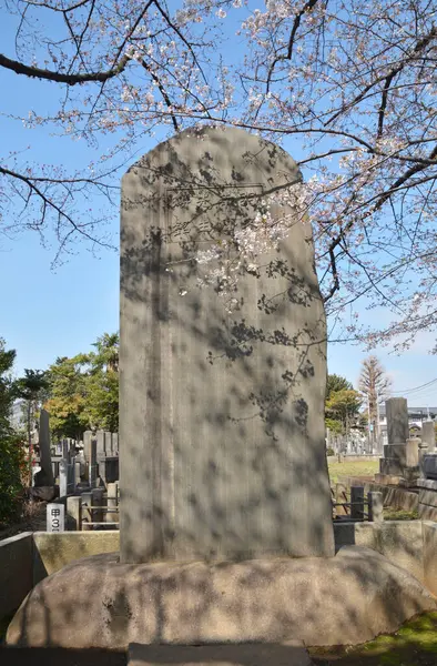Primo Piano Delle Lapidi Tradizionali Giapponesi Sul Cimitero — Foto Stock