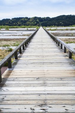 Büyük nehrin üzerindeki yaz manzarası