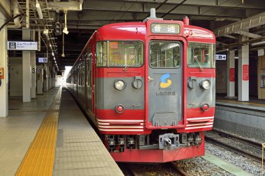 Tren Japonya 'da gündüz vakti demiryolunda hareket ediyor.