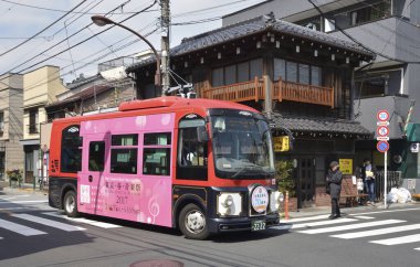 Pembe ve Mavi Servis Japonya 'da Karşıdan Karşıya Geçiyor