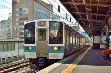 Tren Japonya 'da gündüz vakti demiryolunda hareket ediyor.