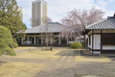 Tapınak manzarası, geleneksel Japon mimarisi.