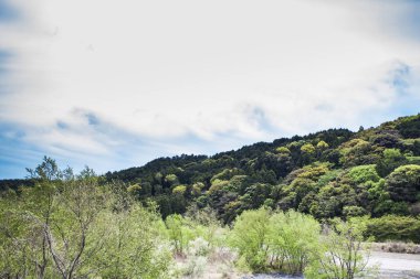 Ağaçlarla kaplı yeşil dağlarla kaplı güzel bir manzara.