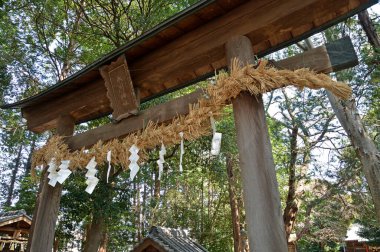 Tahta gövde kapısı kalkanla ve samanla süslenmiş.