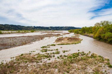 Nehir ormandan akıyor.