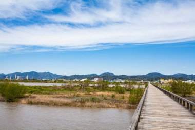 Büyük nehrin üzerindeki güzel yaz manzarası