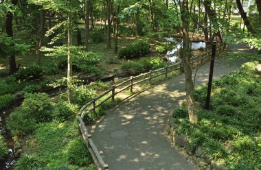 Yeşil Park 'ta Ahşap Çit' le sarmalanmış yol