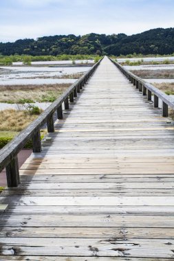 Büyük nehrin üzerindeki yaz manzarası