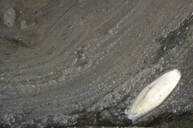 Eski grunge desenli soyut arkaplan