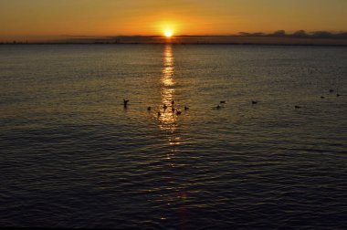 Deniz kıyısında güneşin batışının ve ufkun güzel manzarası       