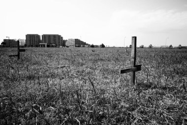 Bitmemiş şehir projesi gün ışığında duruyor