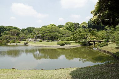 Yeşil bitki örtüsü ve sakin gölü olan güzel bir park. Japon bahçesi.        