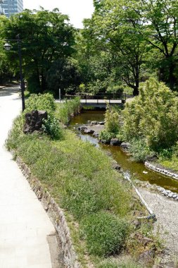 Yeşil park ağaçlarının ve yaya köprüsünün yanında akan küçük dere